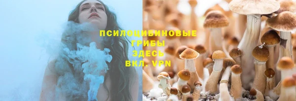 эйфоретик Алексин