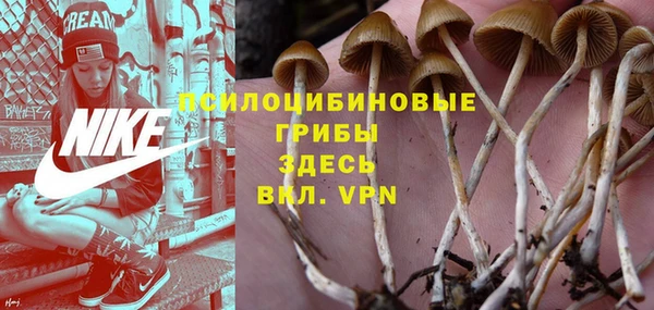 скорость Алзамай