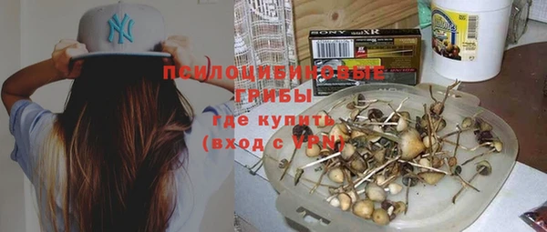скорость Алзамай