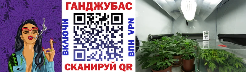 МЕГА зеркало  Николаевск  Марихуана White Widow 